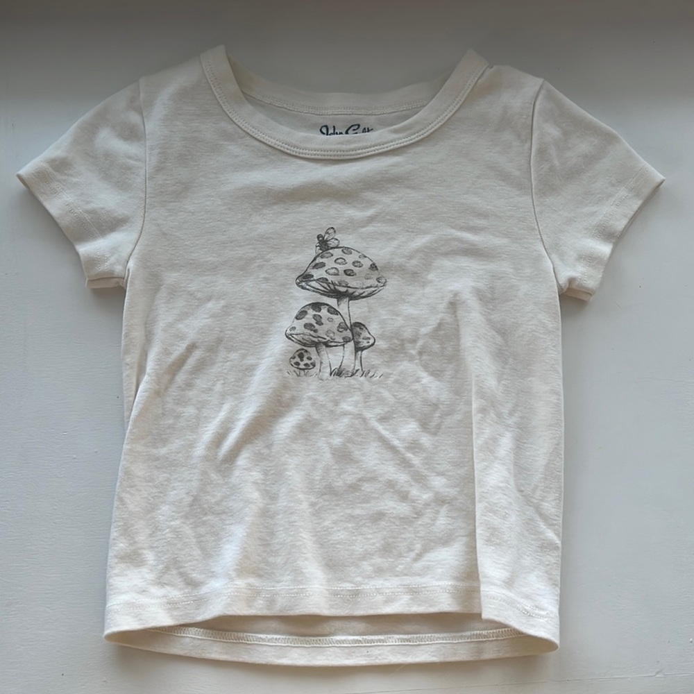 Pacsun fairy cropped top